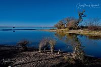 1049231_Bodensee_Herbst_JMW