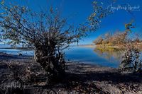 1049234_Bodensee_Herbst_JMW