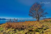 1049245_Bodensee_Herbst_JMW