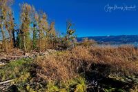 1049263_Bodensee_Herbst_JMW