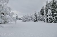 1054570_Winter_2025_JMW